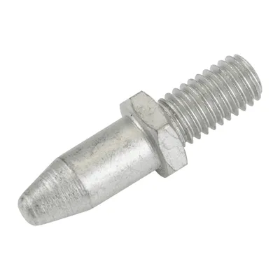 Bolts for the brake disc