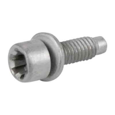 Screw with washer for the clutch