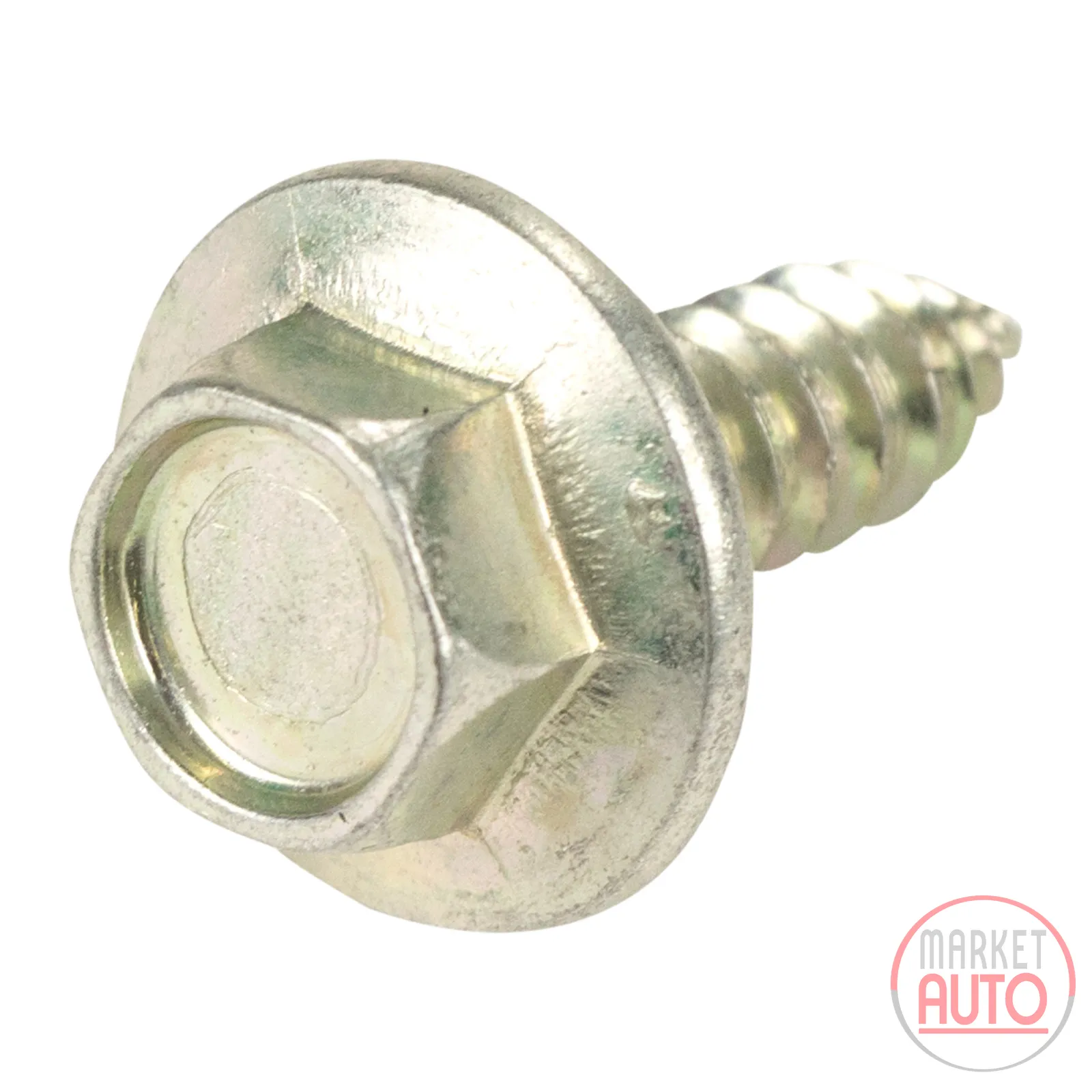 Screw for the mudguard