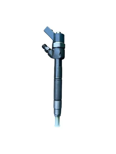 Diesel injector new -NLNP