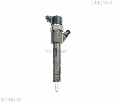 Diesel injector new (Bosch)-NLP