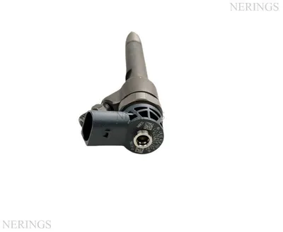 Diesel injector new -ESDTS