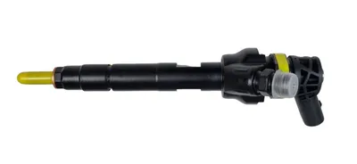 Diesel injectors industrially remanufactured -ROTDS
