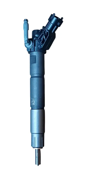 Diesel injector new (Bosch)- BGRS