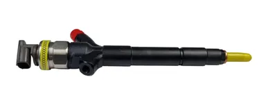 Diesel injectors industrially remanufactured -ROTDS