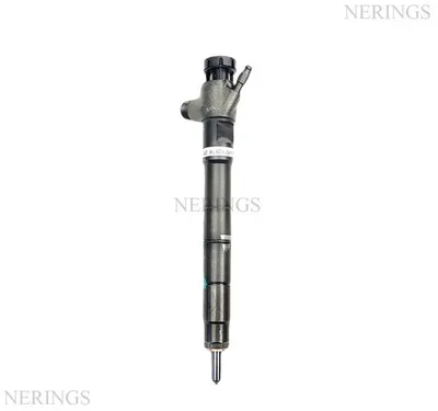 Diesel injectors remanufactured (Delphi-R)