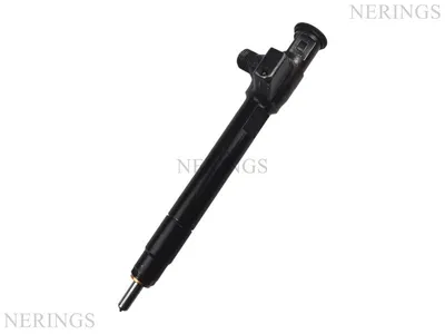 Diesel injectors remanufactured (Delphi-R)