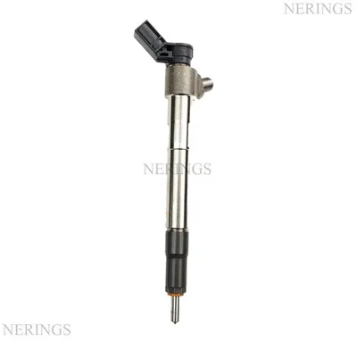 Diesel injector new (Schaeffler-OEM)-PLDT