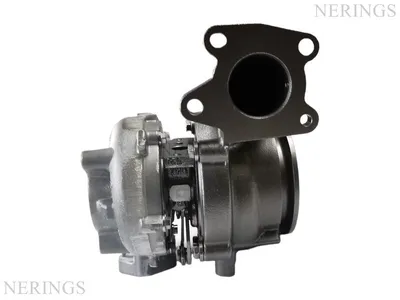 Turbocharger Remanufactured (BMTS)