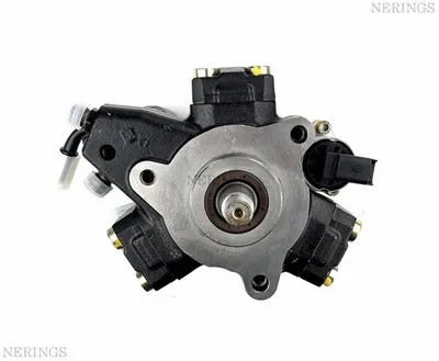 Diesel high pressure pump factory remanufactured(Siemens/VDO)-PLBS