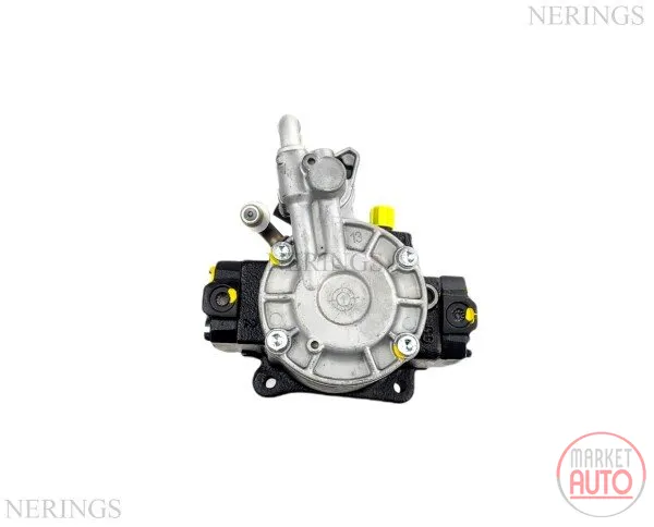 Diesel high pressure pump factory remanufactured(Siemens/VDO)-PLBS