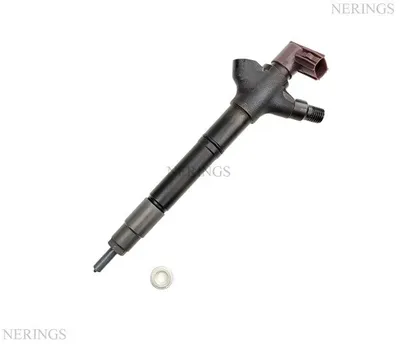 Diesel injector new (Denso)-NLP