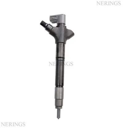 Diesel injector new (Denso)-NLP