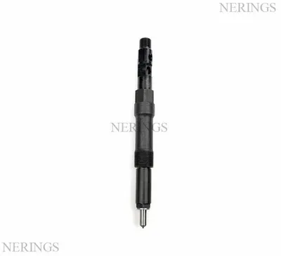 Diesel injector new (Delphi)-NLNP