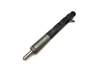 Diesel injector new (Delphi)-ESDTS