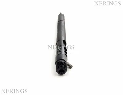 Diesel injector new (Delphi)-ESA
