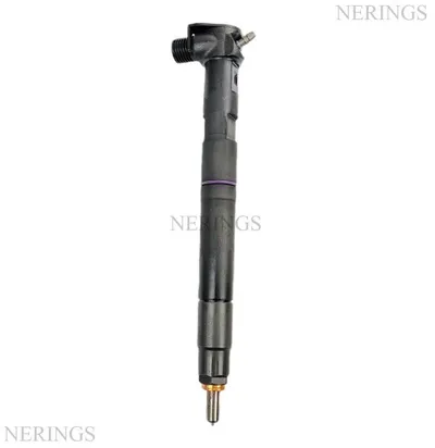 Diesel injector new (Delphi)-ESTEC