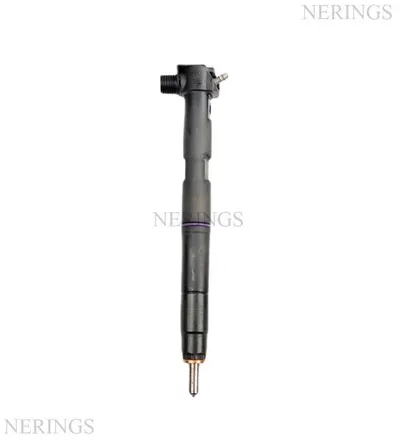 Diesel injector new (Delphi) -ESTEC
