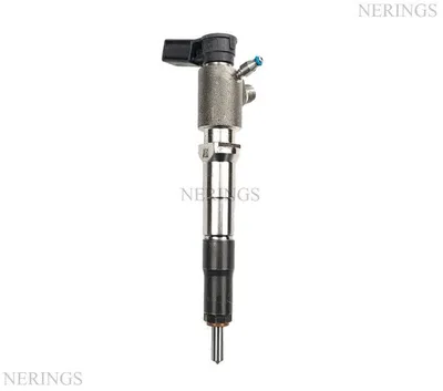Diesel injector new (Siemens)-BRGS
