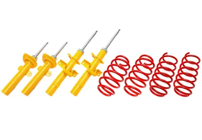 Suspension sportive Ford