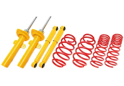 Suspension sportive Ford