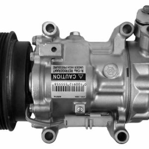 Compresseur, climatisation NISSAN, RENAULT SD6V12-1900