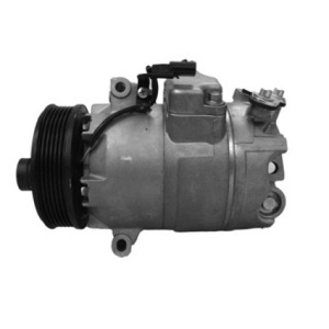 Compresseur, climatisation NISSAN A4101120C012