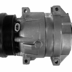 Compresseur, climatisation CHEVROLET 95905493