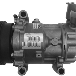 Compresseur, climatisation DACIA SD6V12-1910