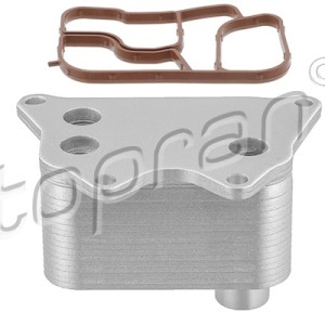 Thermostat 113787001, 06J117021Q,