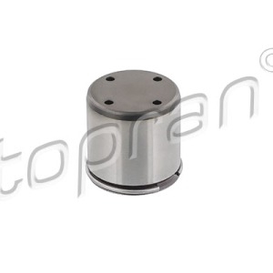 Moyen 115766001, 06D109309C,