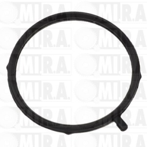 GUARNIZ. FLANGIA TERM. BMW SERIE 3 (01>) – X1/X3 11 53 7 505 806