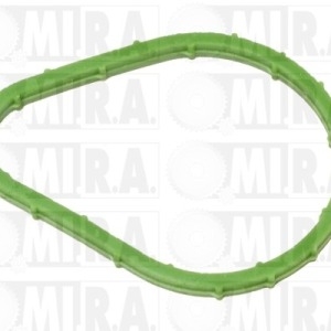 GUARNIZ. FLANGIA TERM. RENAULT CLIO II/KANGOO 1.9 DTI 7701042443