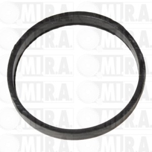 GUARNIZ. FLANGIA TERM. RENAULT CLIO II/III – KANGOO 1.0/1.2 1340.58