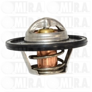 VALVOLA TERMOSTATO DACIA DUSTER/RENAULT CLIO II/MEGANE II 4408334