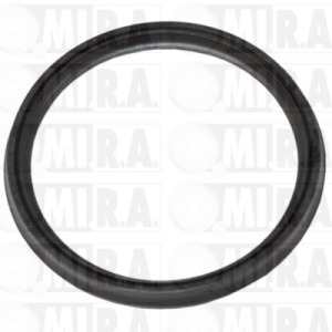GUARNIZ. M/TTO PASS.ARIA DACIA DUSTER – RENAULT TRAFIC III 8201 089 106