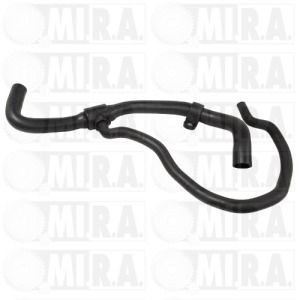 M/TTO PASS. ACQUA RENAULT CLIO II – KANGOO (03>) 82 003 313 06