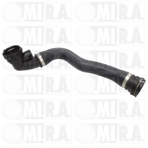M/TTO PASS. ACQUA BMW E53  1 439 121
