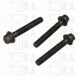 BULLONE FISSAGGIO PULEGGIA 17/2540  1 124 891
