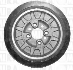 PULEGGIA VW -SEAT 1,9 TDI 5 GOLE  028105243AC