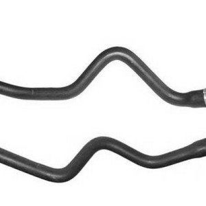 mgto botella – 1307WS