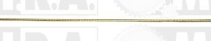 ASTINA OLIO FIAT DOBLO 1.9 JTD  46819798