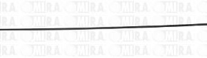 ASTINA OLIO PSA AX/BX/106/205 1.1/1.4 1174.10