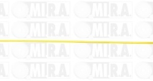 ASTINA OLIO RENAULT CLIO III  8200 355 344