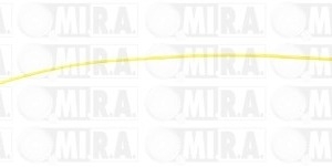 ASTINA OLIO RENAULT MASTER III – TRAFIC 44 17 447