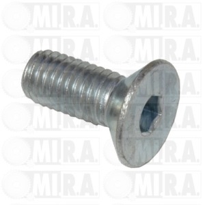 VITE BANCO MOTORE FIAT 500D/F/L/126  13303711