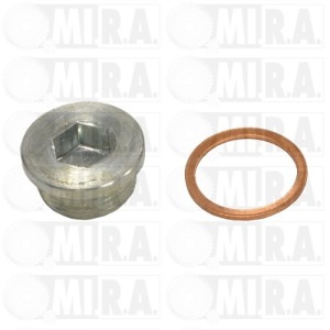 TAPPO COPPA OLIO DUCATO/JUMPER/BOXER HDI 22X1,5 16993411