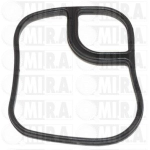 GUARNIZ. SCAMB. CALORE BMW SERIE 1/3/5 – X3 (04>) 11 42 2 247 017