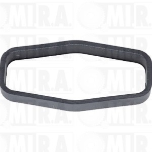GUARNIZ. POMPA OLIO FORD/MAZDA/PSA 1.4/1.5/1.6D 1019.34