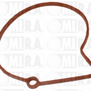 GUAR. POMPA DEPRESSIONE VAG A3/IBIZA III/IV/FABIA I/II TDI 038 145 209